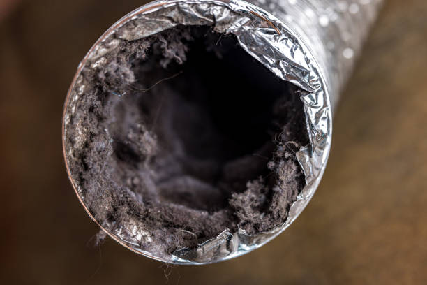 Best HVAC Air Duct Cleaning  in Beaver Falls, PA